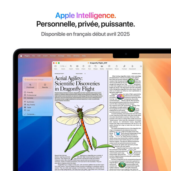 LD0006222058 Apple MacBook Air M4 13 pouces (2025) Minuit 16Go/256 Go (MW123FN/A)